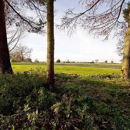 Holiday home Beechwood
