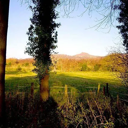 Beechwood Holiday home Little Ayton